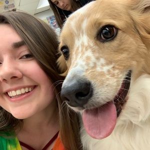 Meet your Posher, Laurel